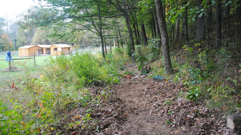 trail next to field