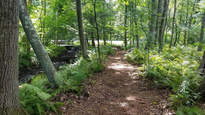 trail along stream