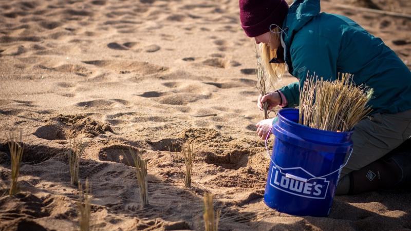Dune volunteer with bucket