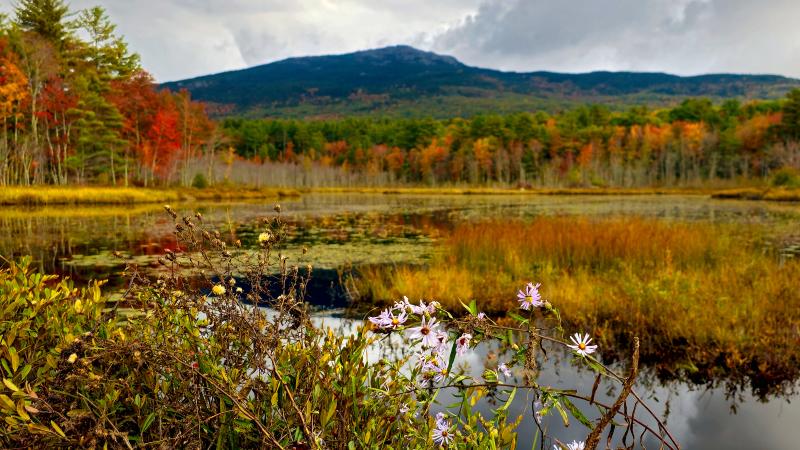mt monadnock in the fall