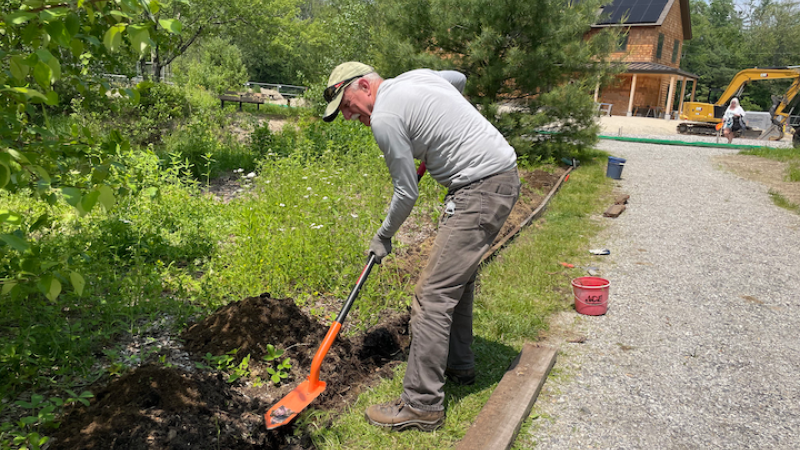 Volunteer planting plants with shovel