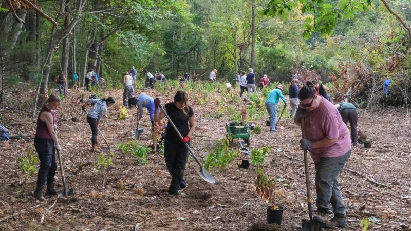 people planting plants