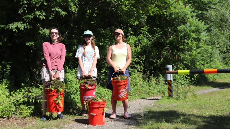 Volunteers with buckets of plants