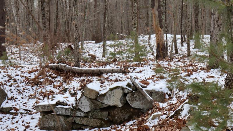 stone cellar
