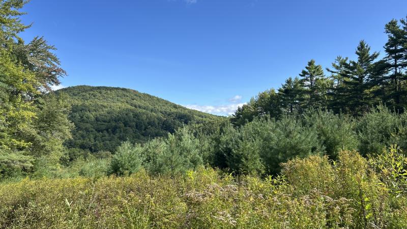 field in the mountains