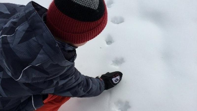 person looking at track