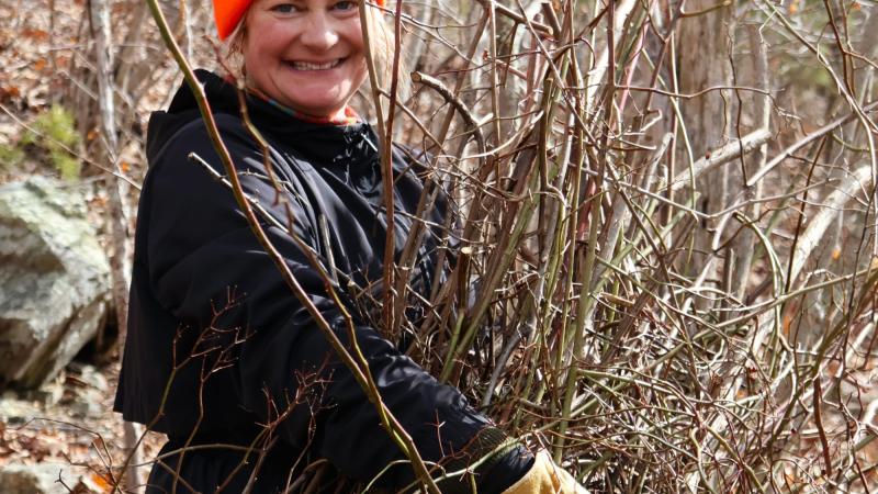 person holding pile of pulled invasive plants