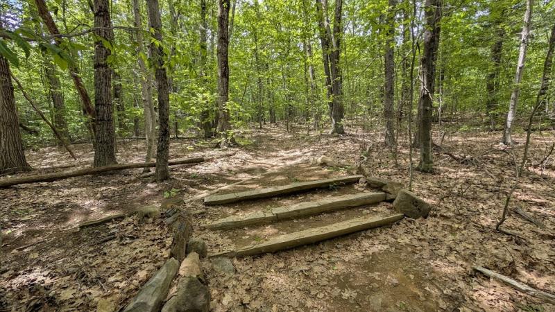 stairs on a trail