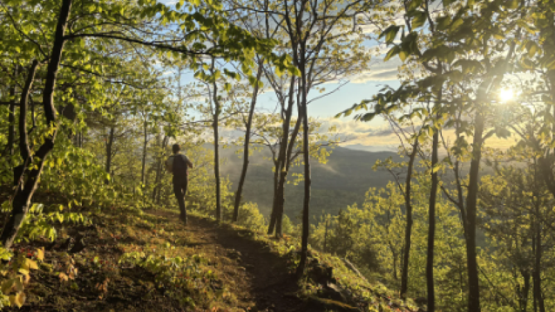 sunny trail