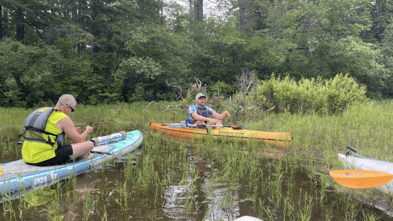 people paddling on water
