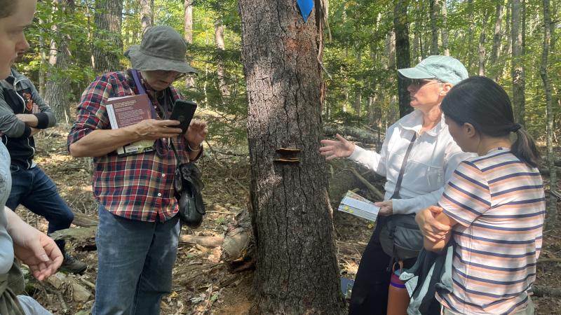 people learning about mushroom