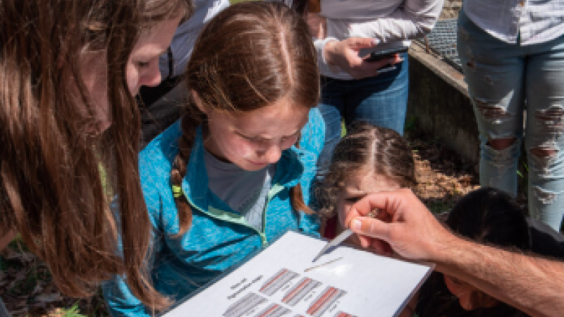 kids looking at samples