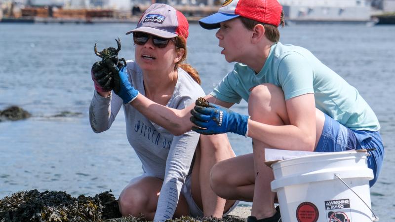women and child looking at green crab on the coast