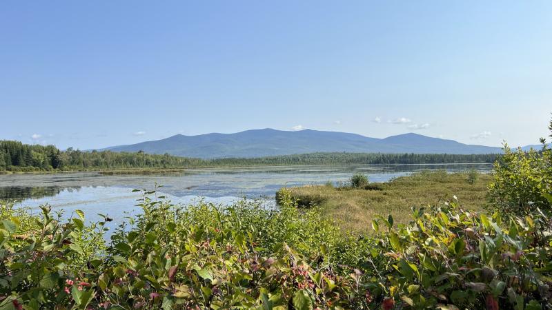 view of mountains across wetland