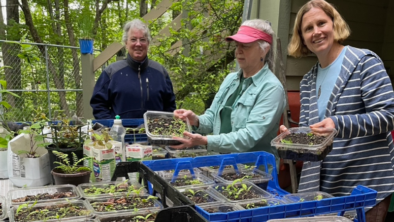 smiling volunteers planting