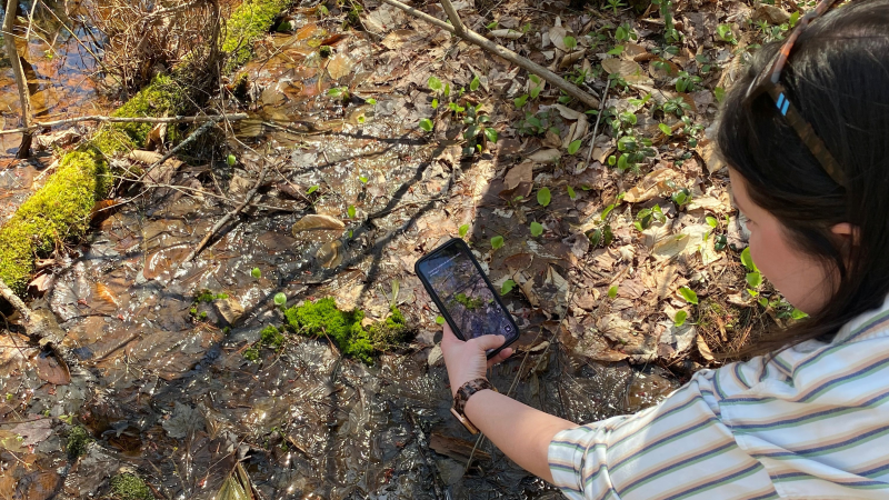 volunteer with iphone outdoors