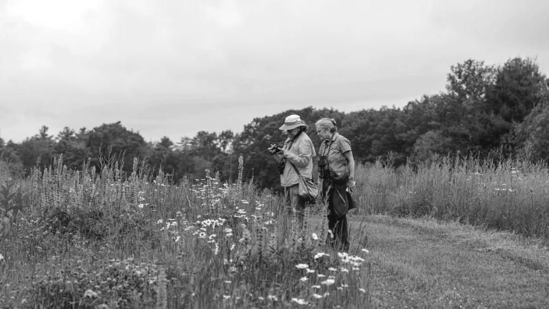people looking at field of wildflowers