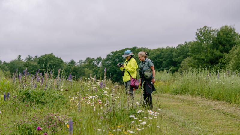 people standing by wildflower field