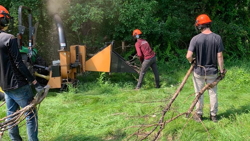 Invasive volunteers