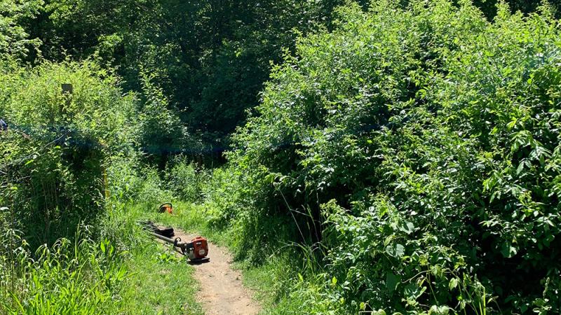 trail