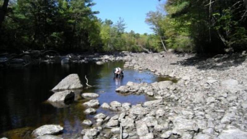 New Hampshire river vRAP