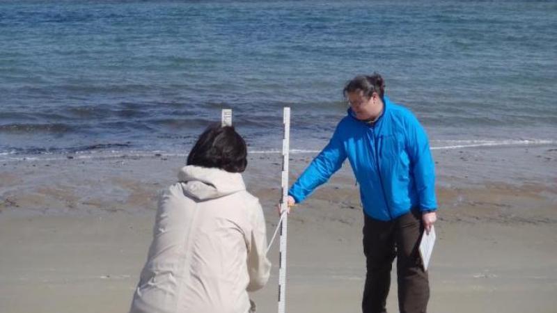 Beach profile volunteers in action