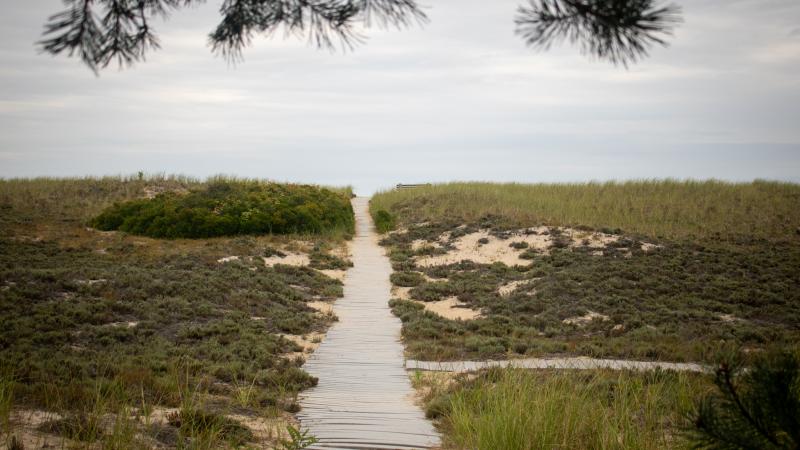 walkway to beach