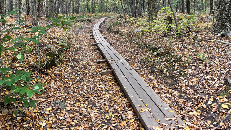 trail with bog birdges