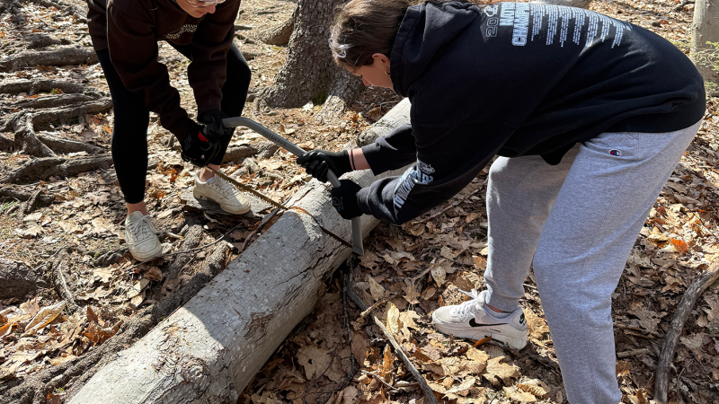 volunteers using a saw