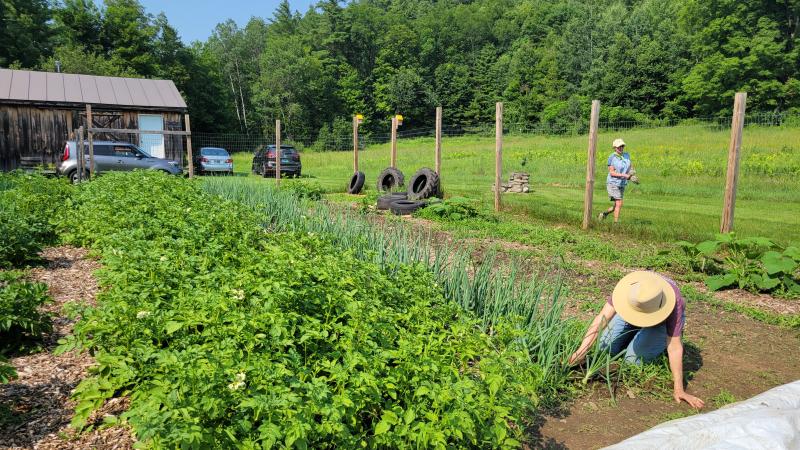 Garden workday