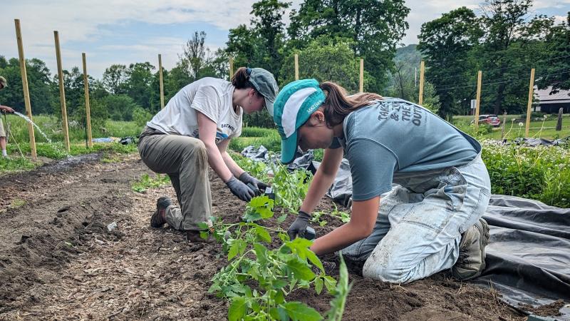 Garden volunteers 2