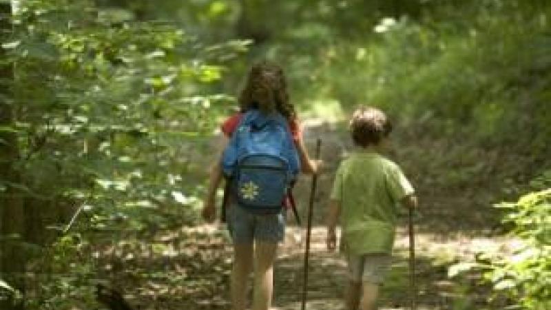 Youth hikers at Welsh Dickey Trail