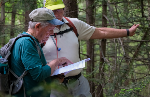 volunteers using survey to navigate in the forest
