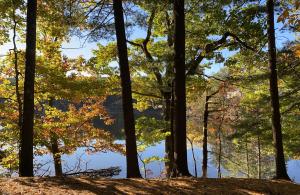 view of heron pond