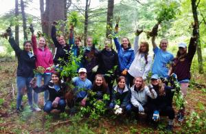 Volunteers holding glossy buckthorn