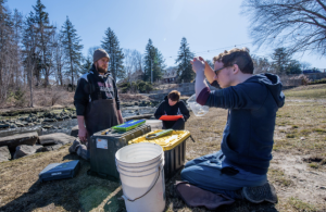 volunteers outside looking at rainbow smelt