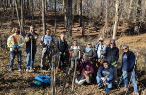 Invasive plant removal volunteers