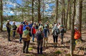 group of volunteers in the woods