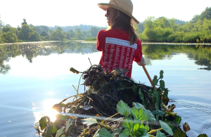 person canoeing with pulled invasive plants