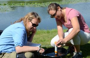 Citizen Science Volunteers
