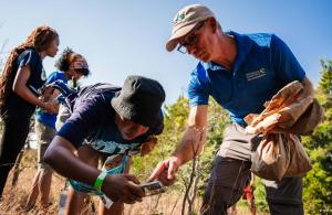 people using phone to identify species