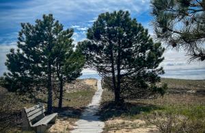 walkway over sand dune