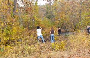 Volunteers cleaning shrubland