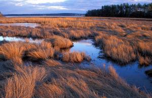 Lubberland Creek