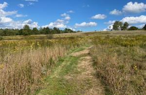 Path at Wiggin Farm Conservation Area