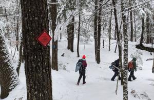 volunteer walking on trail in snow