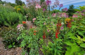 Massabesic garden in flower