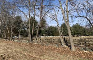 Rural stone wall