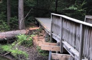 Wetlands boardwalk at Gunstock mountain.