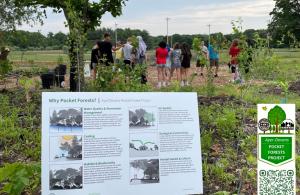 Pocket Forest sign with people in background